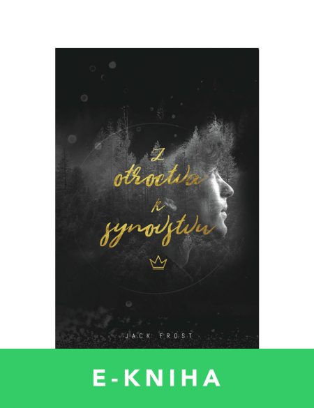 Z otroctva k synovstvu – Jack a Trisha Frost | E-kniha