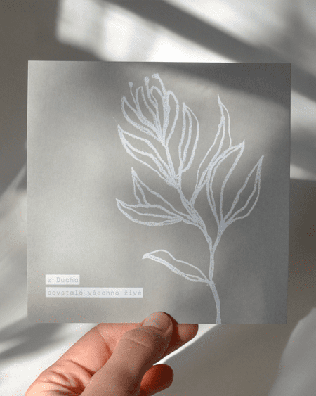 Květina života – pohlednice | Solí_ze_mě